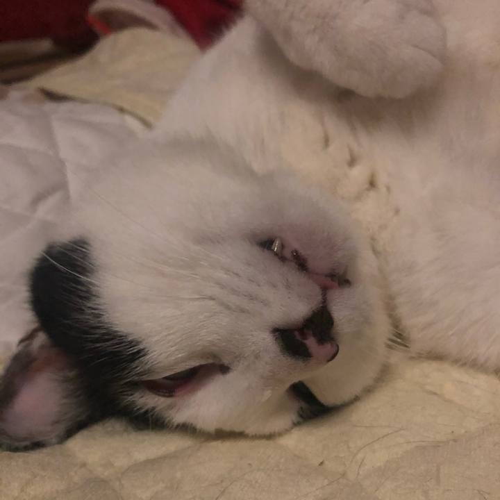 041b31e3 2a96 4e60 9f99 dfcc6e3fbca7 1606748285524