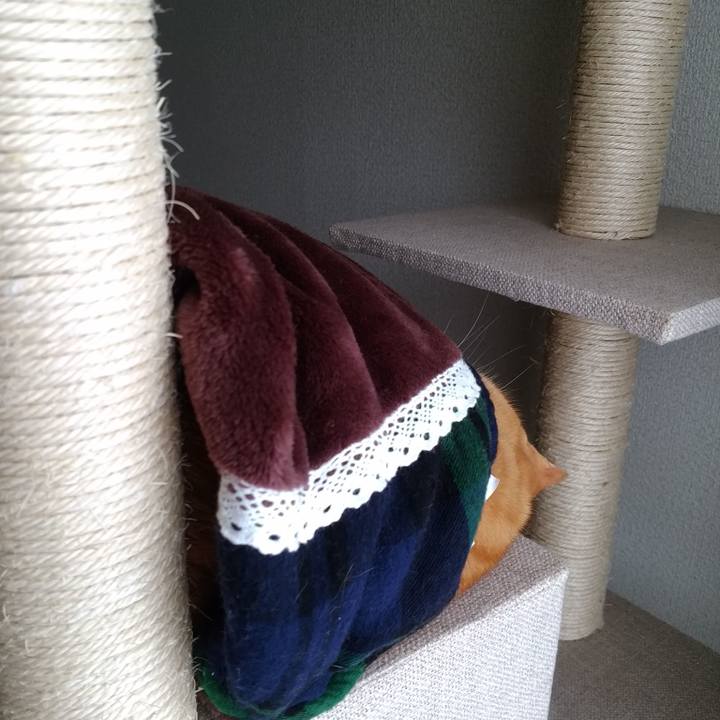 041b4aba efa1 4818 98a2 2b90158dc3bb 1733577536283