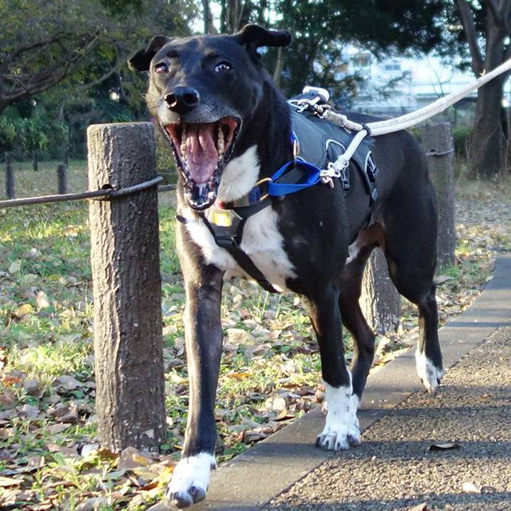 041b5928 55c3 45e7 9bbb 4b70dc4a90af 1638663768236