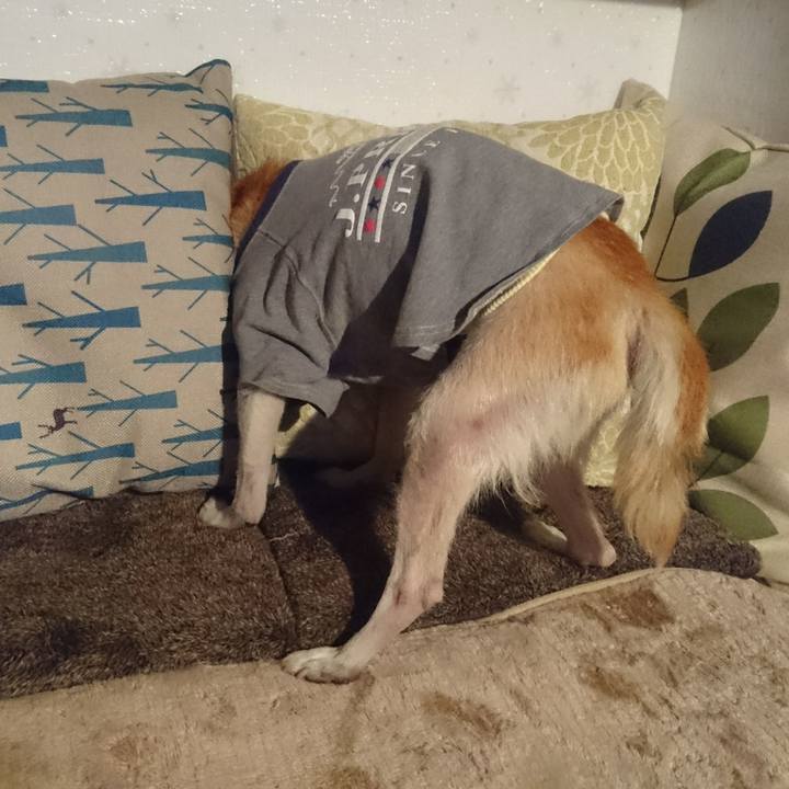 041b6e23 13b1 46b9 8567 2bbd27a3f3a2 1553559391859