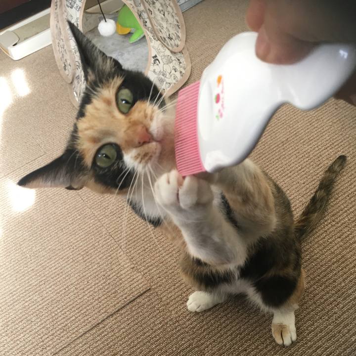 041b7d3a 89d1 4130 a007 be534cab035f 1509594030248