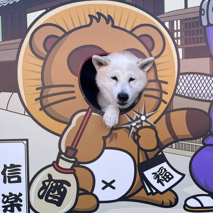 041b87fd 8396 41ce 9e5a 54dab0a432c0 1704184049870