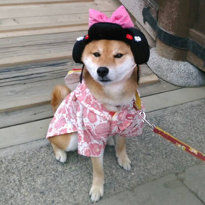 041bb02a 048b 42d8 a991 ad919ce31ff2 1523705795031