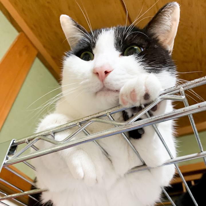 041bc93f 79eb 4c0c 9f23 a0cd897f895b 1545707631853