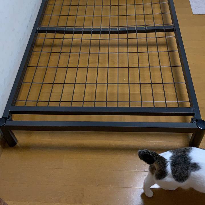 041bdabb 48a7 42be b8a7 b0f10e0d58eb 1640382484623