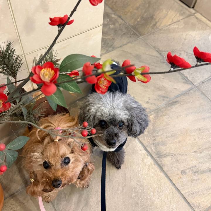 041beb25 ea1d 407f 8014 314ee35533cd 1768521279505