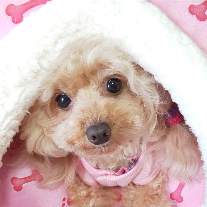 041bf5cd 0b07 41d0 8be6 794079516123 1573719563452