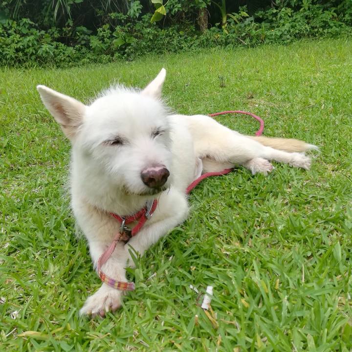 041bf791 0ace 4d95 8f05 be5b0c8e4a5b 1530709306553