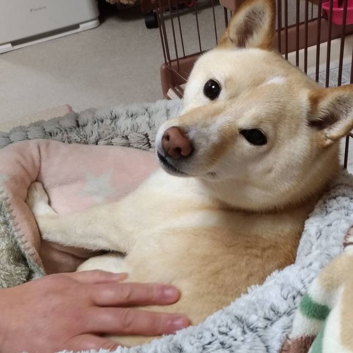 041c020e 243c 4561 82db 0d78aff75395 1585695913115