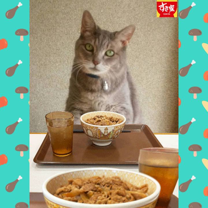 041c5dbb 1b62 4e36 8eeb d3427a660cf1 1762295773168