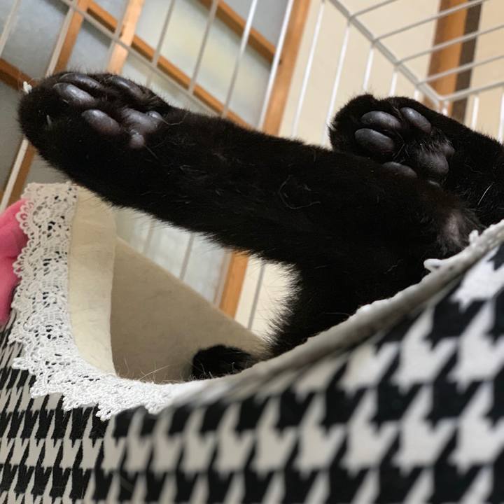 041c610d a2bd 4a51 8a9b eae089257c3d 1545094033572