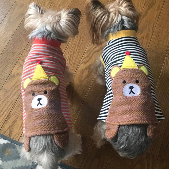 041ccef0 c6c8 4555 9430 e3ac46d274ce 1550484159049