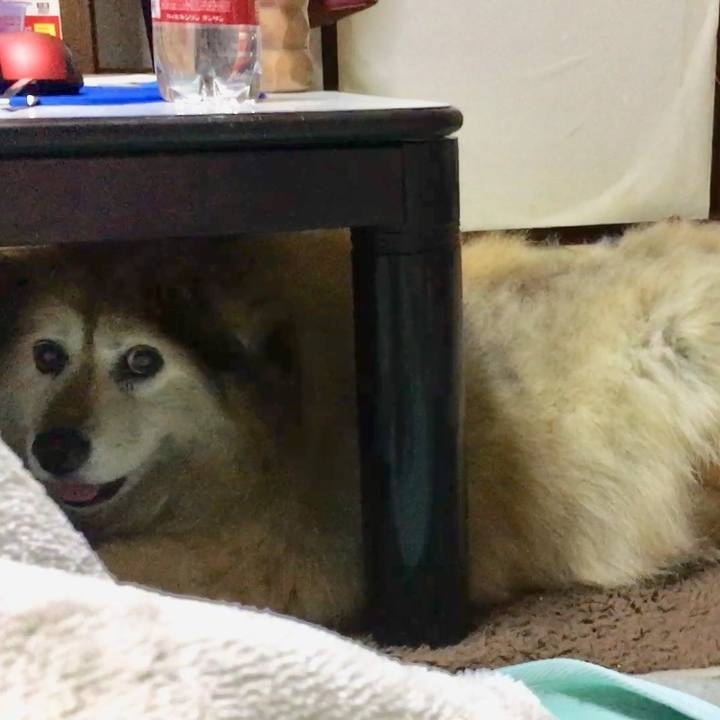 041cdb7d 723d 494c 94a7 0703036b5633 1592269203220