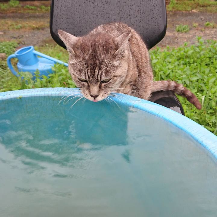 041ce809 ef09 4657 bfdb 9db61cbe7a12 1570861435322