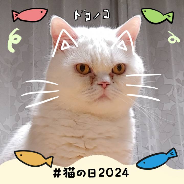 041dc2c3 de86 4761 a19f 60cda2646088 1708582187872