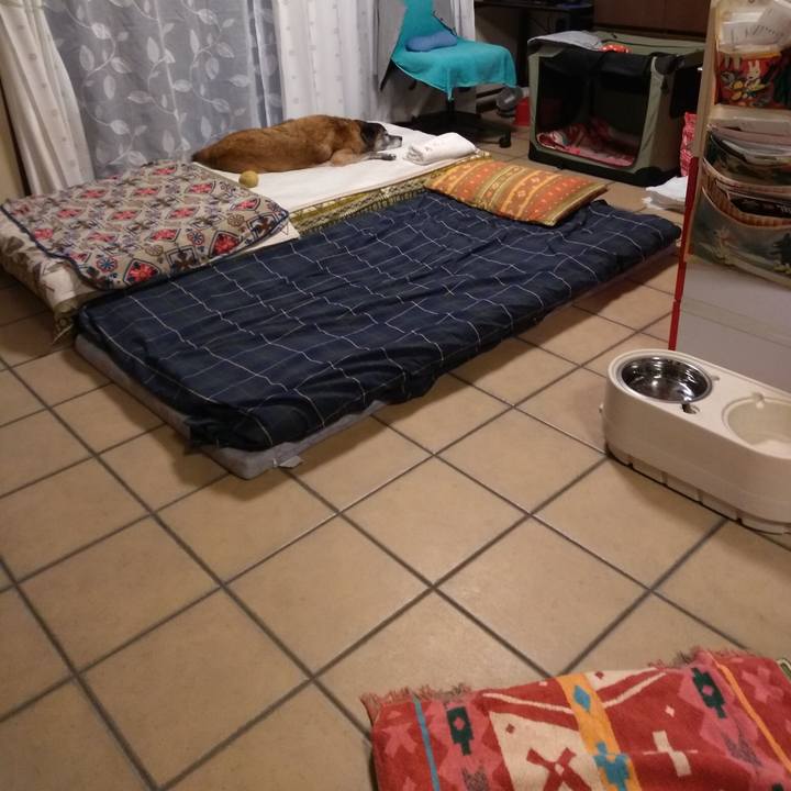 041dc905 fe0d 4f29 ac1b 4c85a22f8b78 1575446407386