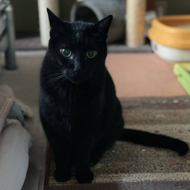 041dd398 68d9 4dfa bde8 7cb1f245e7e4 1613353446882