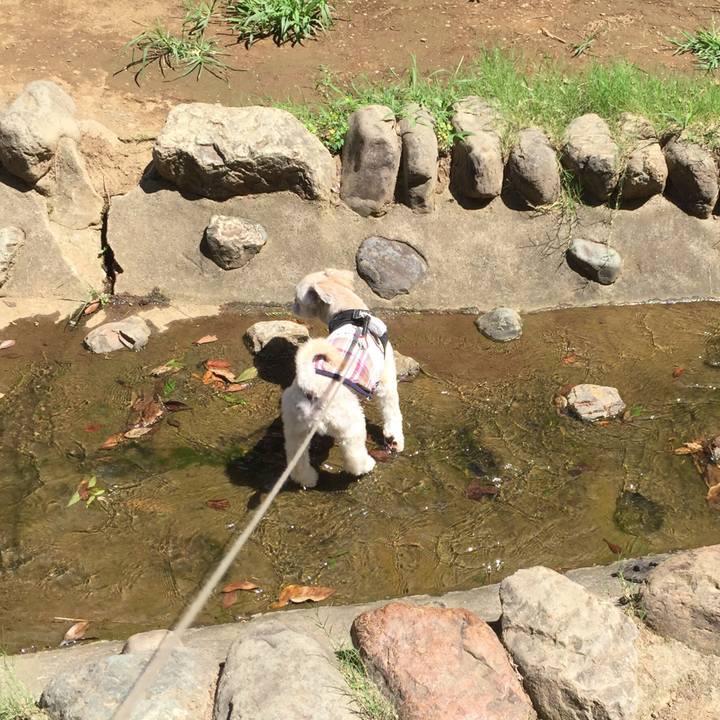 041e486a 3005 403d a655 43112602c83f 1534307215838