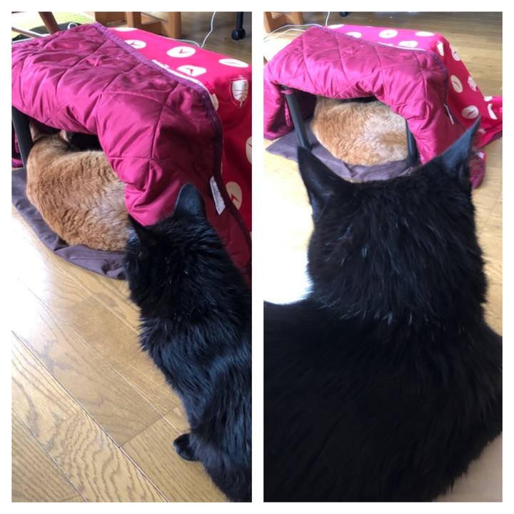 041e594c 5d58 4030 bddf 73a2fd0f86c9 1623790829929