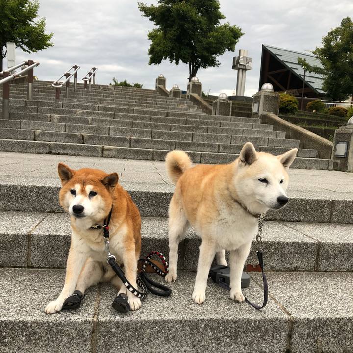 041e668f 8d65 49e5 906d 45a71088d102 1600562453011