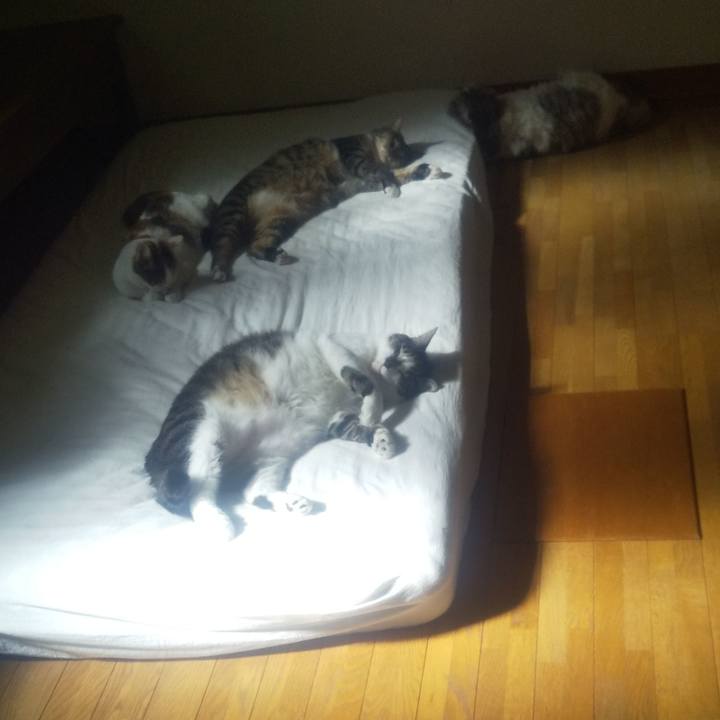 041e9171 fdaf 462c aa66 1312e9417783 1692426461950