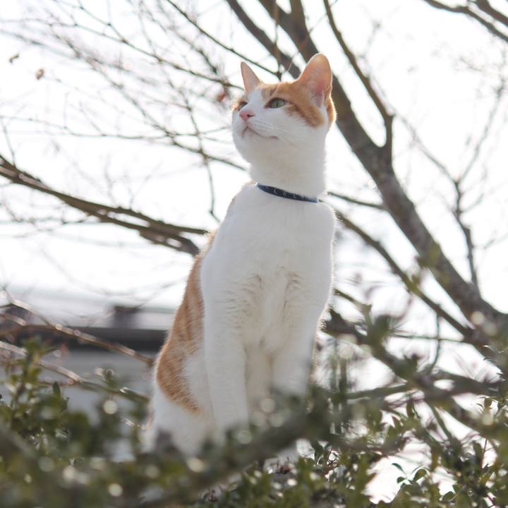 041e96ed 6a27 48df becb db45ddbc8020 1517116725002