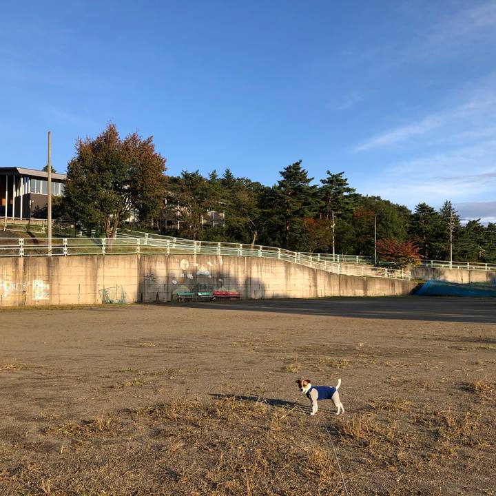 041eae91 326e 4d06 a76e 30355e432655 1571305546452