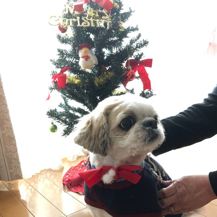 041eb067 559c 4004 aca4 26b3731b2e98 1577224281605