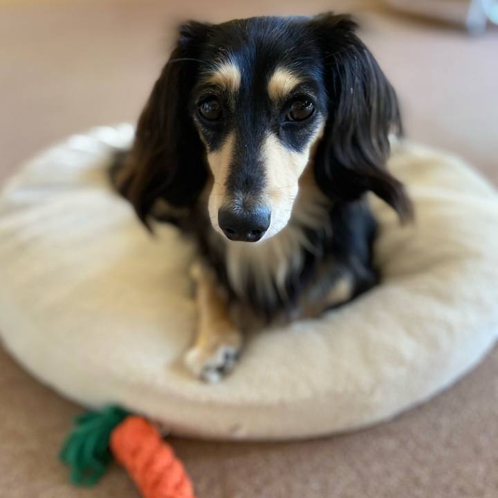 041efadf d427 4f85 b548 96297152f4f9 1714779662931