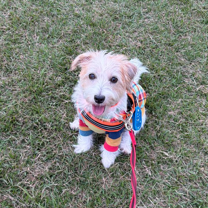 041f4039 ee4a 4577 85e6 02d45d10daf4 1760049235251