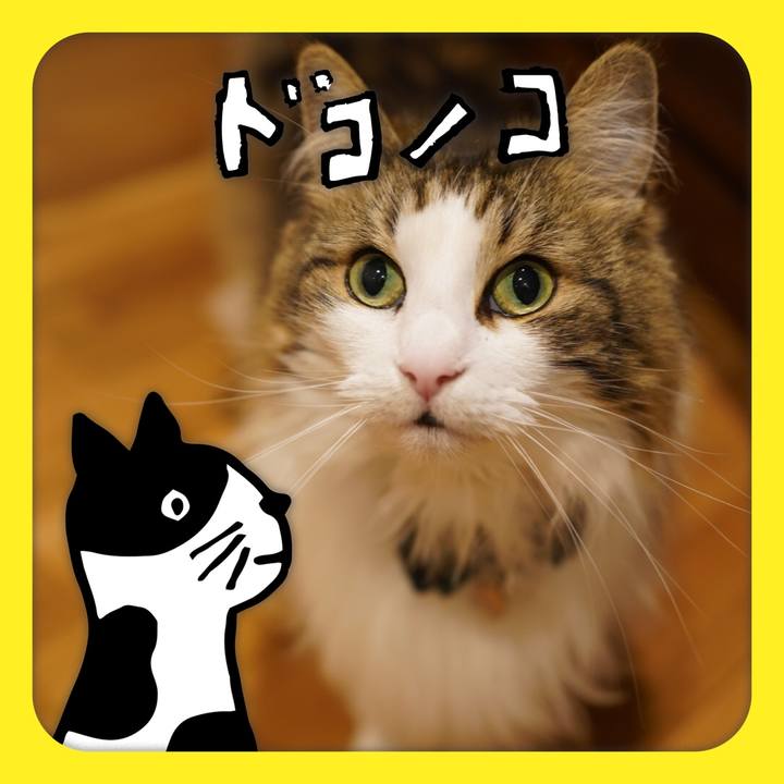 041f79f0 74df 4486 b0b3 336ff2259e3d 1623680865444