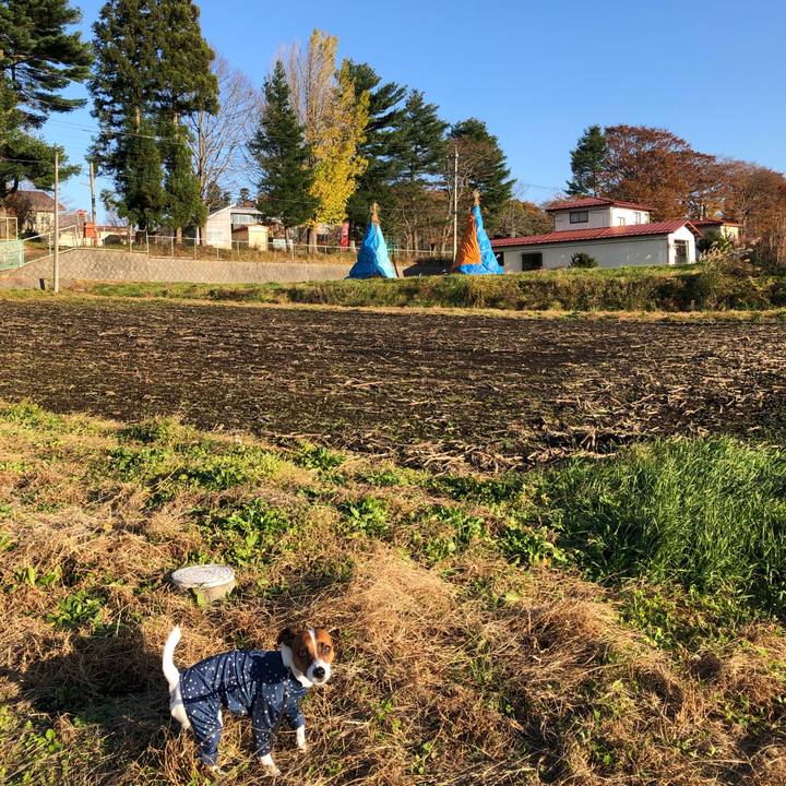 041f9e6e c421 4e3f a4a2 89c7b6953a4d 1573544832001