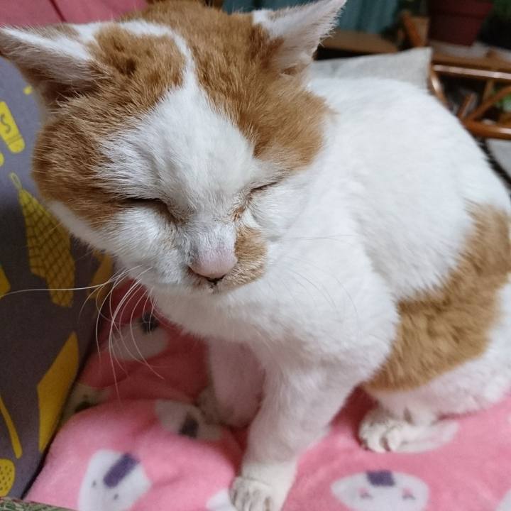 041f9f9c 8a6a 4261 add9 f3bb6d8a7db2 1675261679152