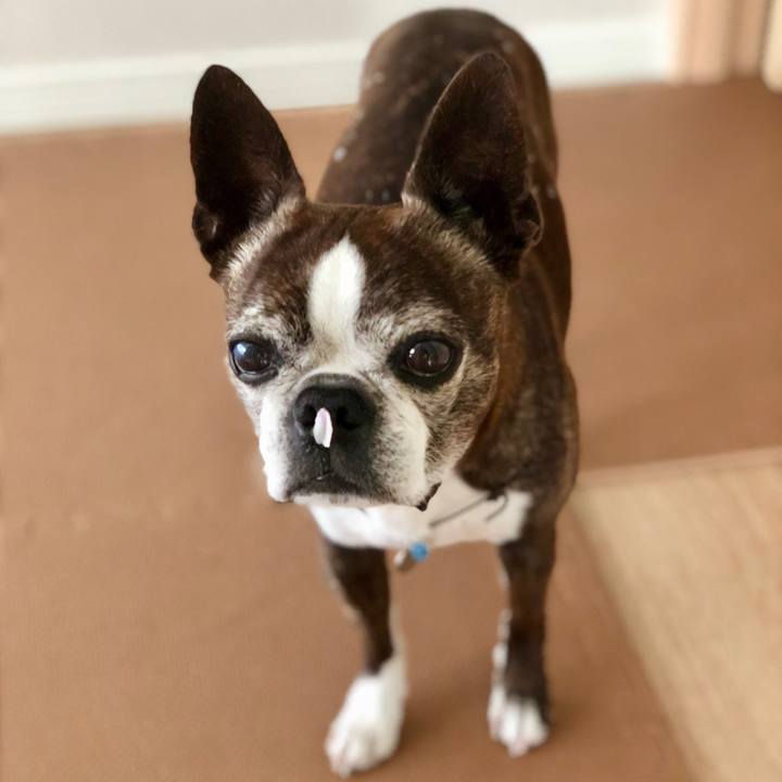 041fdd3f 56c5 4eef 909e c8a7f1b4a514 1522741151632