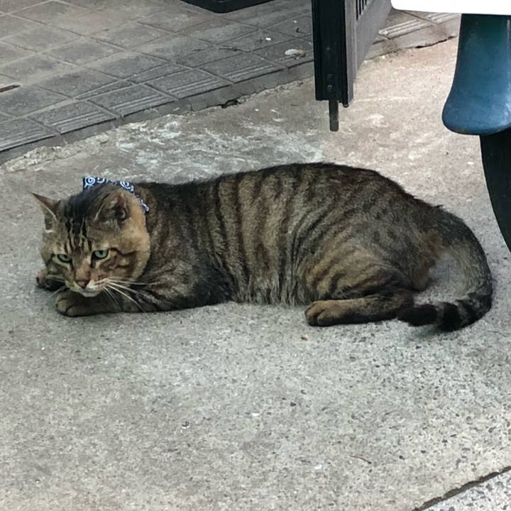 041fe0d9 5a53 4037 bda2 4e52e77110f4 1532086551178