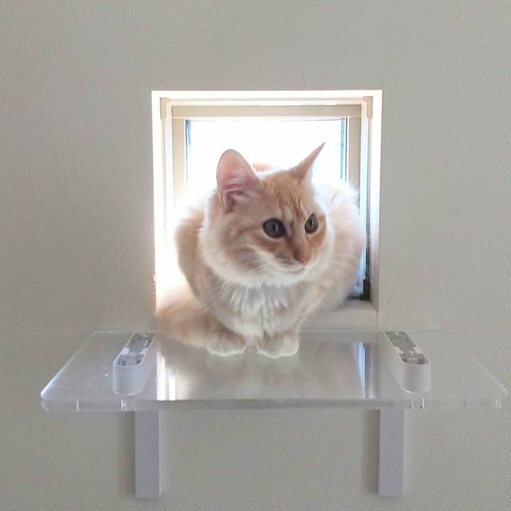 04200378 10bc 4292 a849 bded31a32573 1615706579219