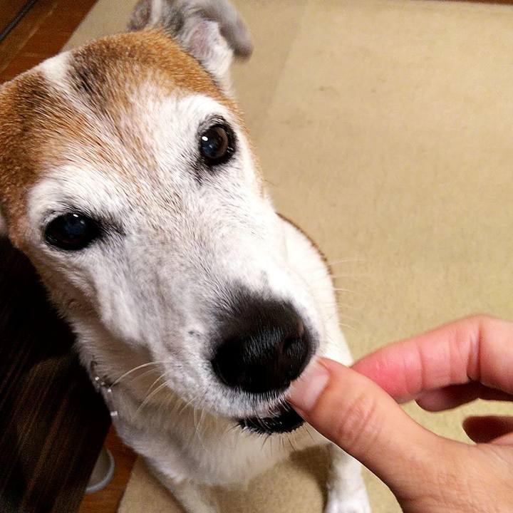 0420267a bb42 4bda ae8b 62a099b169d2 1596061068987