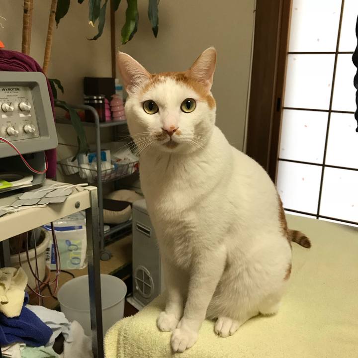 0420522d 6207 4622 82be b6ae59f7355b 1518683840462