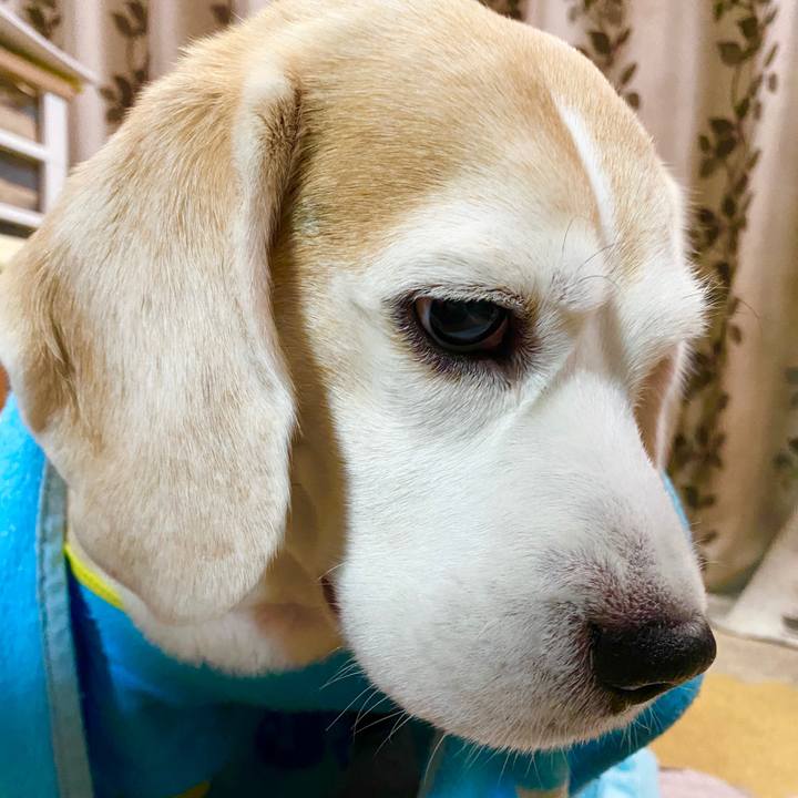 04207e46 2fd4 4d32 8ded 21c1fdd03ac1 1579322106046