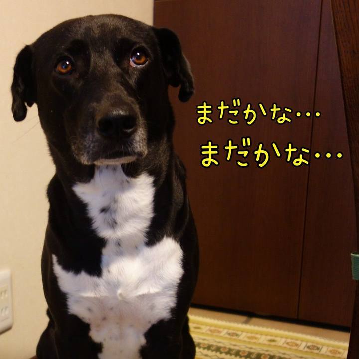 04208686 c490 41e5 9161 26e08e669038 1629074893313