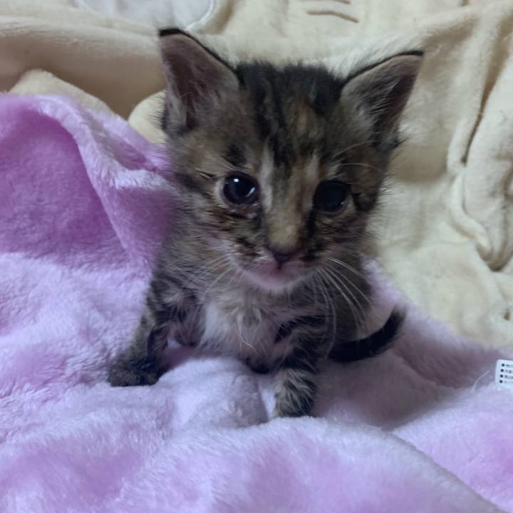 042097f8 c6c6 4133 a276 c39eafadde21 1556707986736