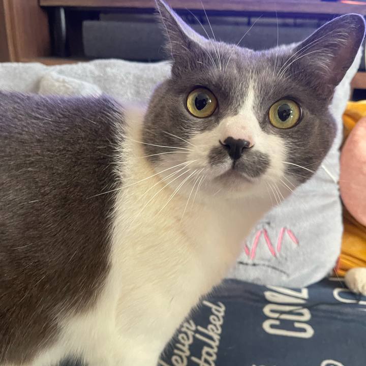 04209e55 1a27 4633 8291 6c230e2633c5 1746312224981