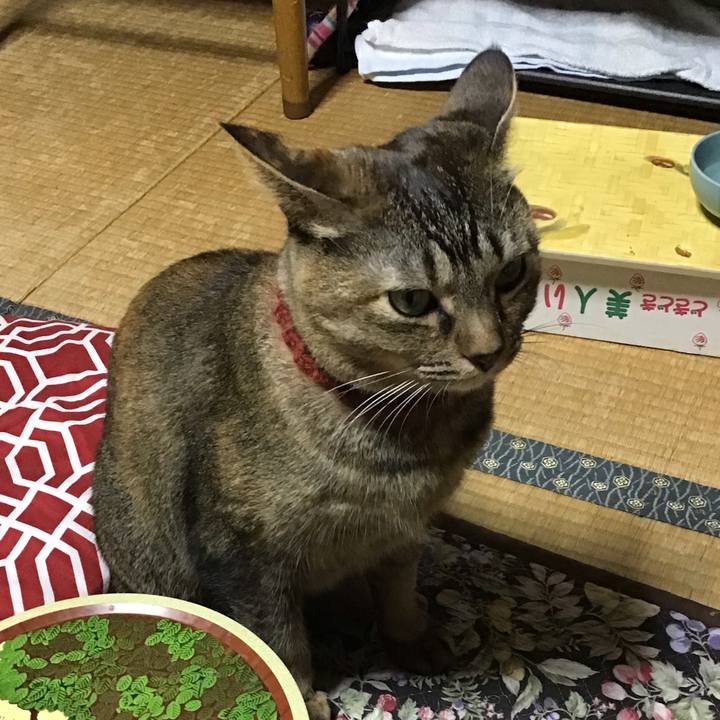 0420a83e 0a64 4c95 a24a 18c157706db4 1640077244629