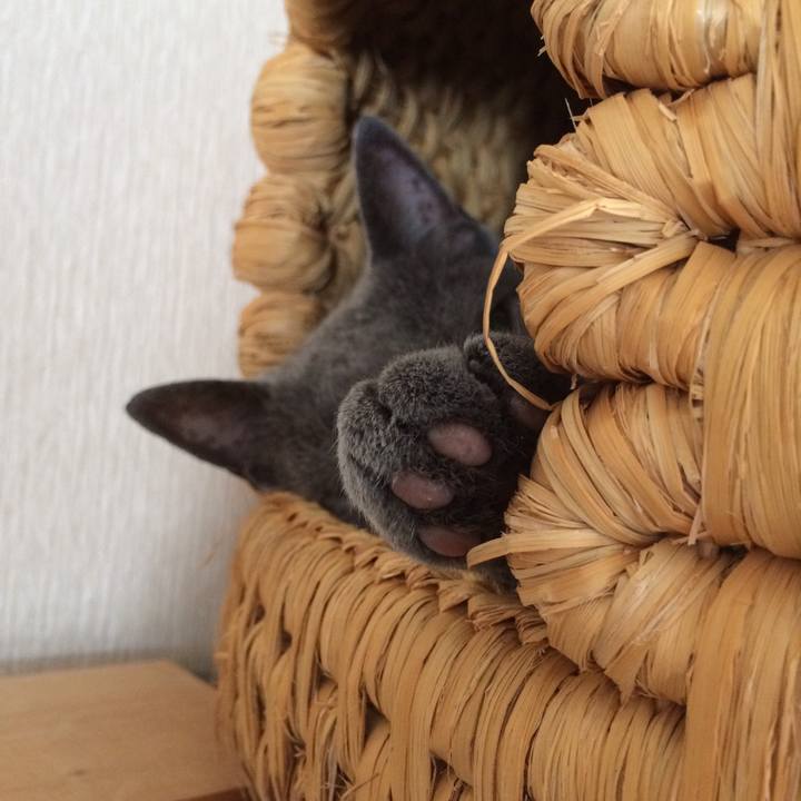 04211510 d7a3 4025 9647 b2d76a0e7cc1 1528759456426