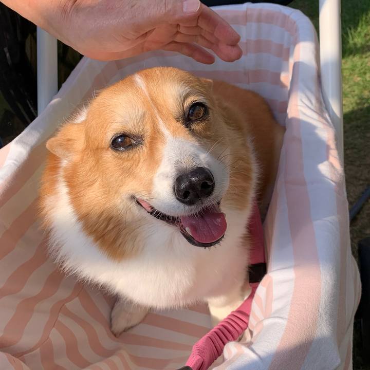 04211e94 6ad5 44ab 95be 98737204960b 1696556081614