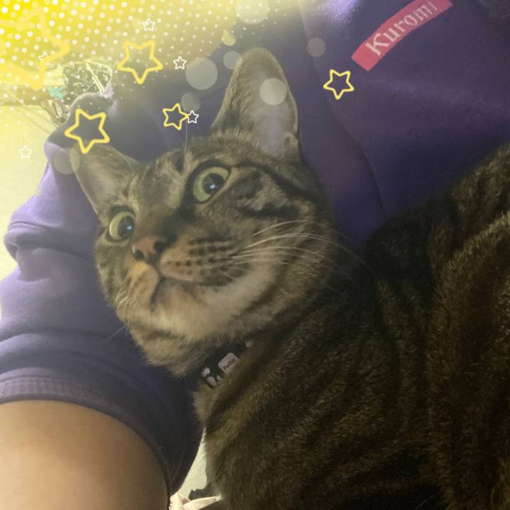 042127cf ce21 4529 ba2d 88fa13938f43 1582684403723