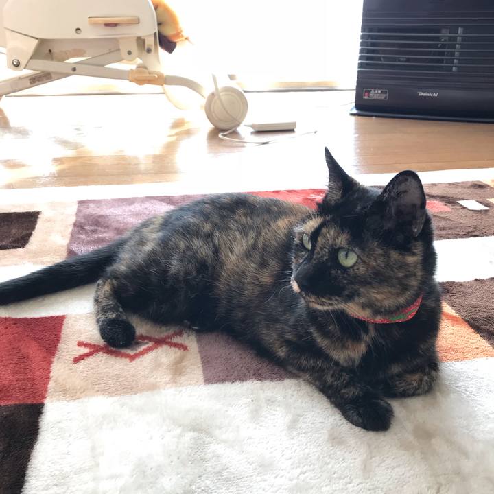 04213ebf 3347 47ac 9f91 3720fa175aee 1541823637200