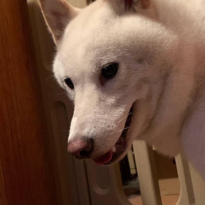 04216191 e563 42ff 8078 d24b1ad7c6be 1598734938679