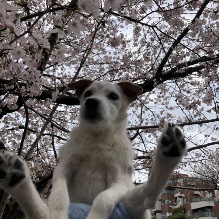 04216e5d 0103 4add 8ca3 02ca82a313da 1648388593855