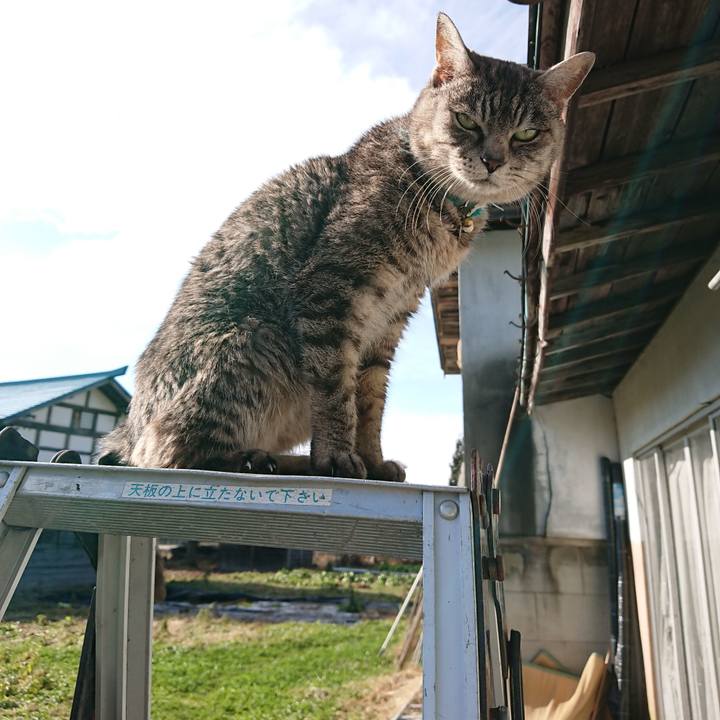 0421cda9 a01b 406b b222 42192004de97 1576292938721